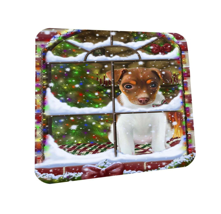 Please Come Home For Christmas Rat Terrier Dog Sitting In Window Coasters Set of 4 CST48382