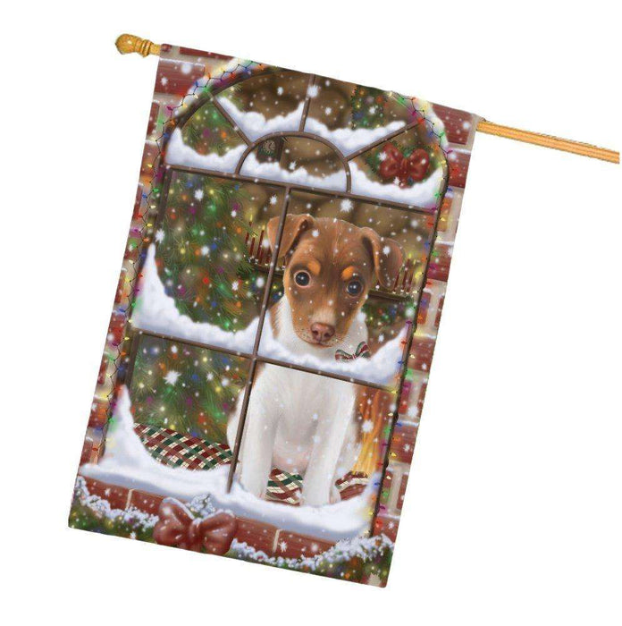 Please Come Home For Christmas Rat Terrier Dog Sitting In Window House Flag FLG48436