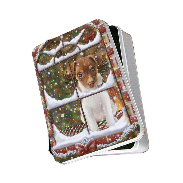 Please Come Home For Christmas Rat Terrier Dog Sitting In Window Photo Storage Tin PITN48423