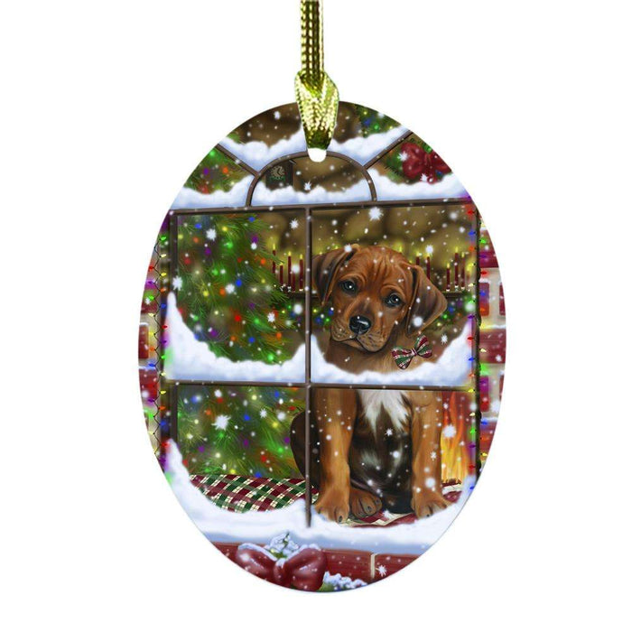 Please Come Home For Christmas Rhodesian Ridgeback Dog Sitting In Window Oval Glass Christmas Ornament OGOR49200