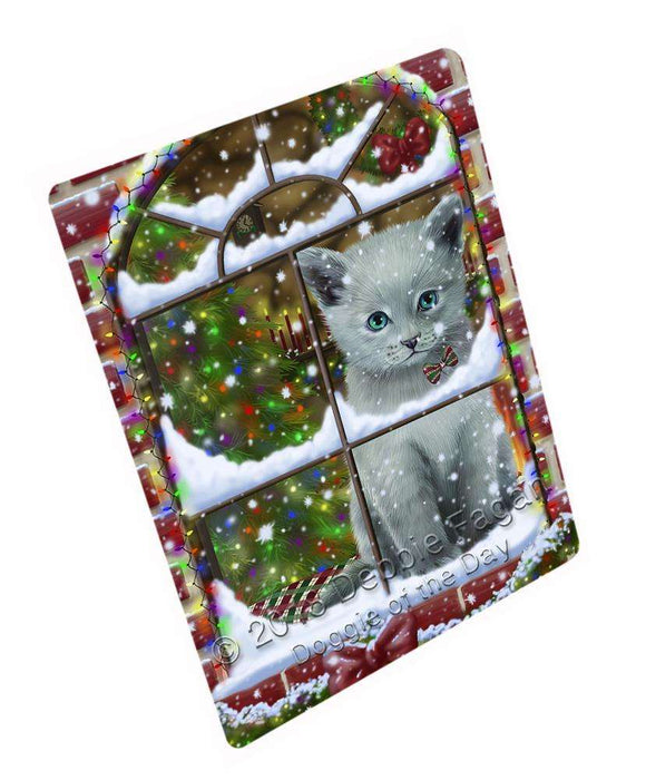 Please Come Home For Christmas Russian Blue Cat Sitting In Window Blanket BLNKT100137
