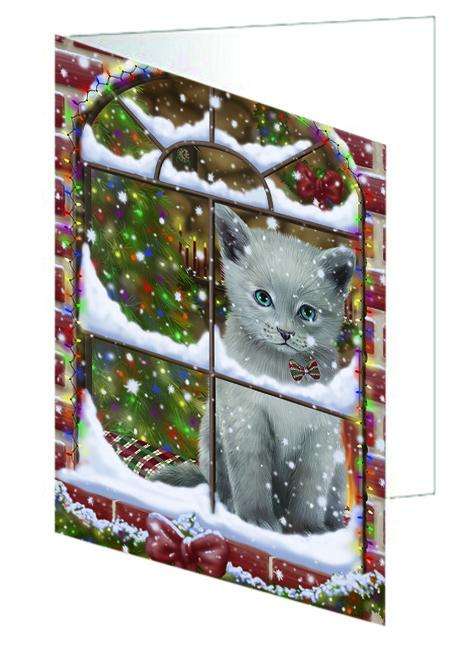 Please Come Home For Christmas Russian Blue Cat Sitting In Window Handmade Artwork Assorted Pets Greeting Cards and Note Cards with Envelopes for All Occasions and Holiday Seasons GCD64961