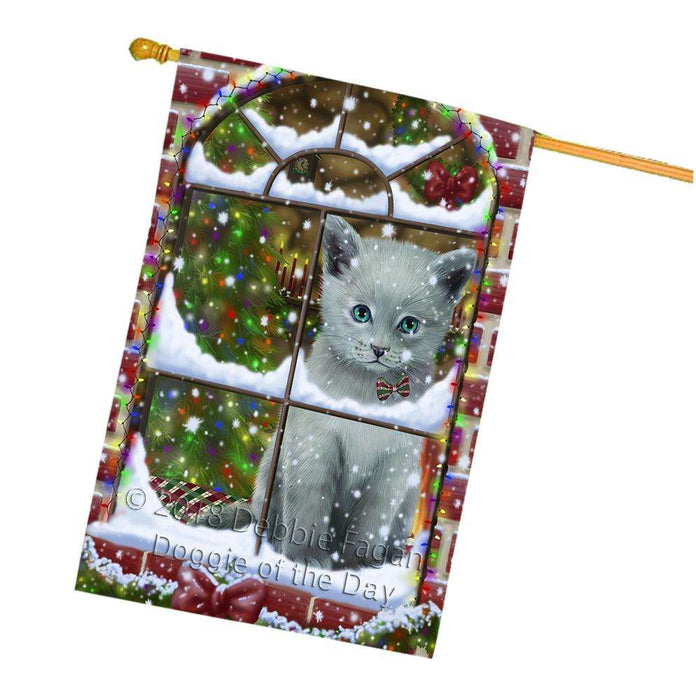 Please Come Home For Christmas Russian Blue Cat Sitting In Window House Flag FLG53842