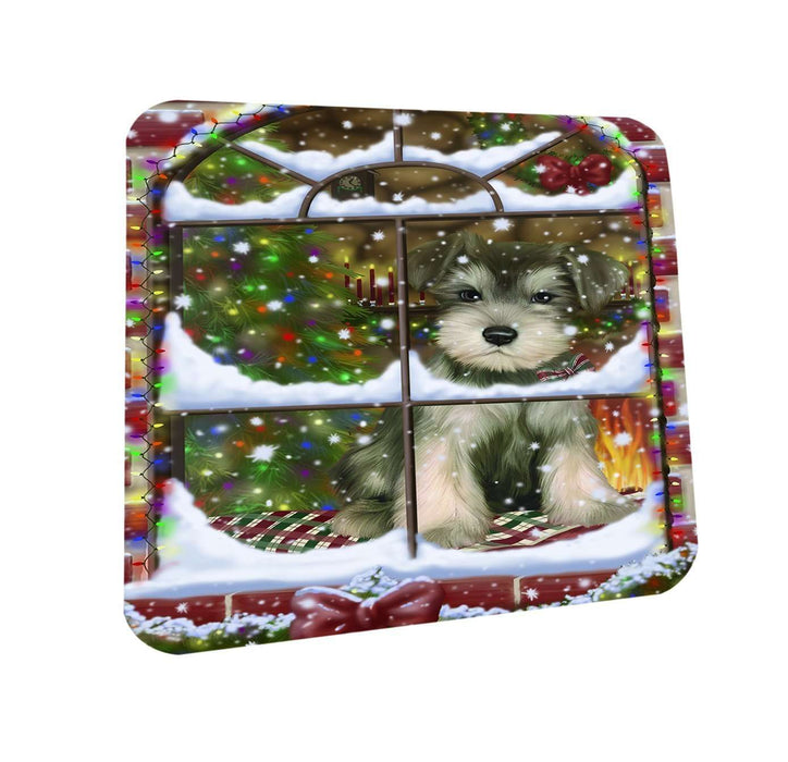 Please Come Home For Christmas Schnauzer Dog Sitting In Window Coasters Set of 4 CST48383