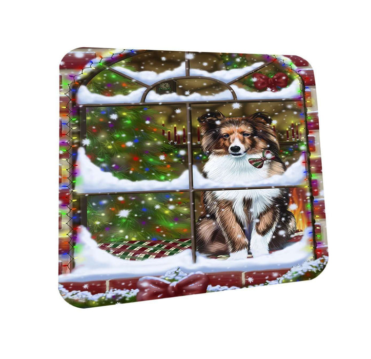Please Come Home For Christmas Shetland Dog Sitting In Window Coasters Set of 4 CST48388
