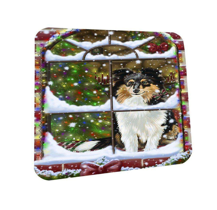 Please Come Home For Christmas Shetland Dog Sitting In Window Coasters Set of 4