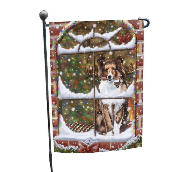 Please Come Home For Christmas Shetland Dog Sitting In Window Garden Flag GFLG48387