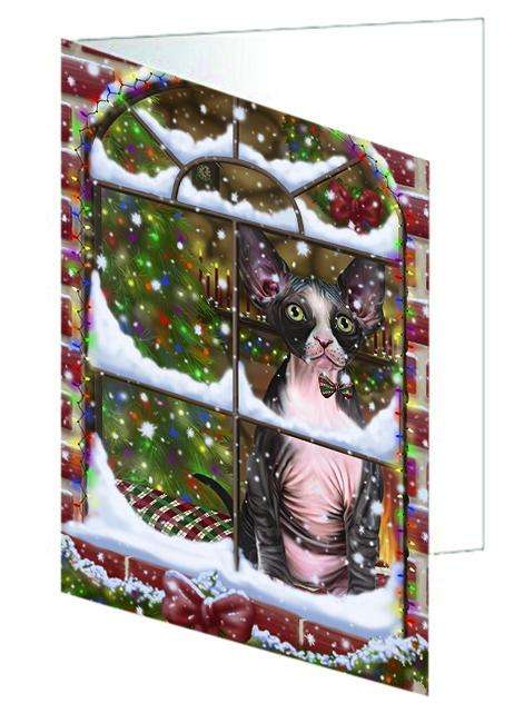 Please Come Home For Christmas Sphynx Cat Sitting In Window Handmade Artwork Assorted Pets Greeting Cards and Note Cards with Envelopes for All Occasions and Holiday Seasons GCD64967