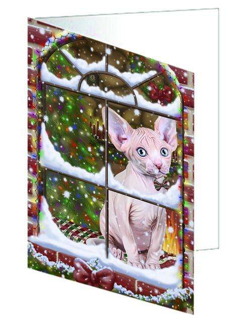 Please Come Home For Christmas Sphynx Cat Sitting In Window Handmade Artwork Assorted Pets Greeting Cards and Note Cards with Envelopes for All Occasions and Holiday Seasons GCD64970