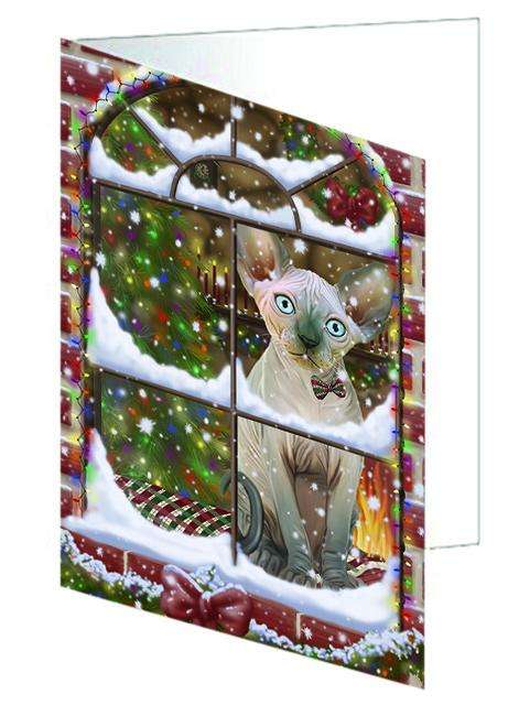 Please Come Home For Christmas Sphynx Cat Sitting In Window Handmade Artwork Assorted Pets Greeting Cards and Note Cards with Envelopes for All Occasions and Holiday Seasons GCD64976