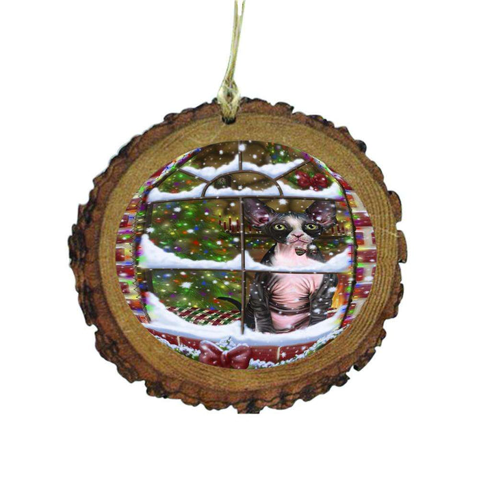 Please Come Home For Christmas Sphynx Cat Sitting In Window Wooden Christmas Ornament WOR49211