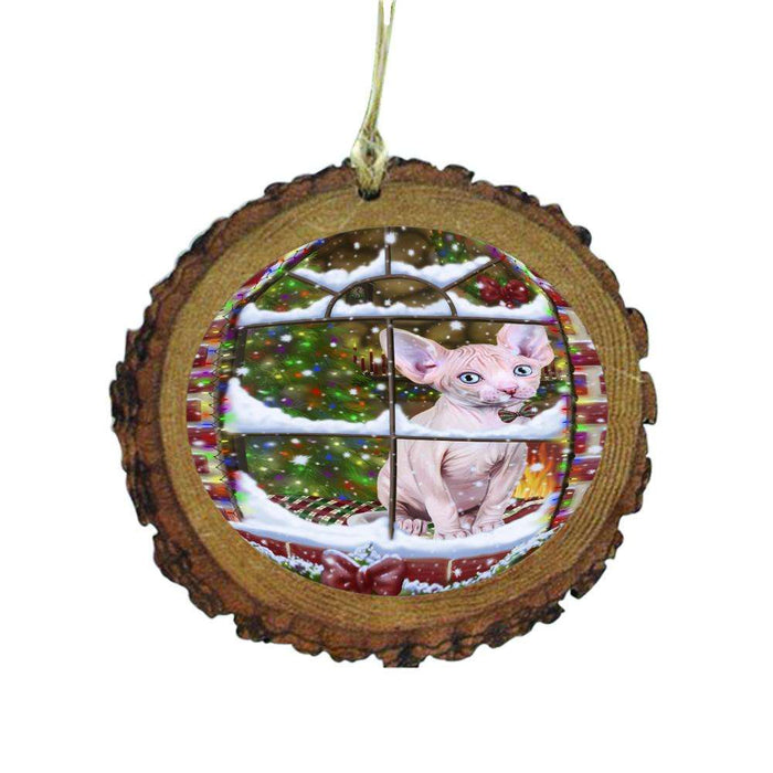 Please Come Home For Christmas Sphynx Cat Sitting In Window Wooden Christmas Ornament WOR49212