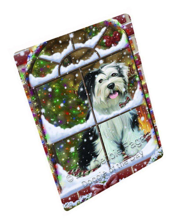 Please Come Home For Christmas Tibetan Terrier Dog Sitting In Window Art Portrait Print Woven Throw Sherpa Plush Fleece Blanket D122