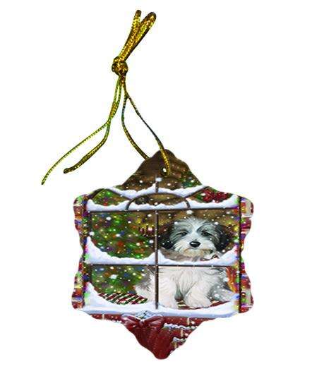 Please Come Home For Christmas Tibetan Terrier Dog Sitting In Window Star Porcelain Ornament SPOR53942
