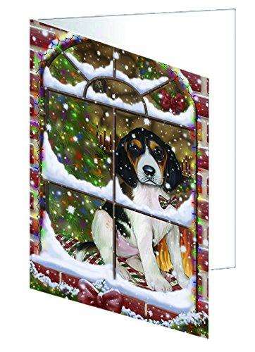 Please Come Home For Christmas Treeing Walker Coonhound Dog Sitting In Window Handmade Artwork Assorted Pets Greeting Cards and Note Cards with Envelopes for All Occasions and Holiday Seasons