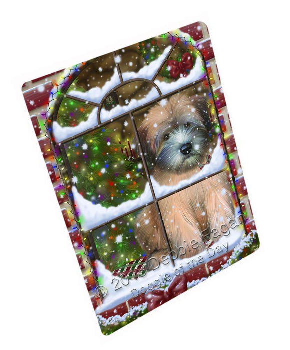 Please Come Home For Christmas Wheaten Terrier Dog Sitting In Window Blanket BLNKT100200