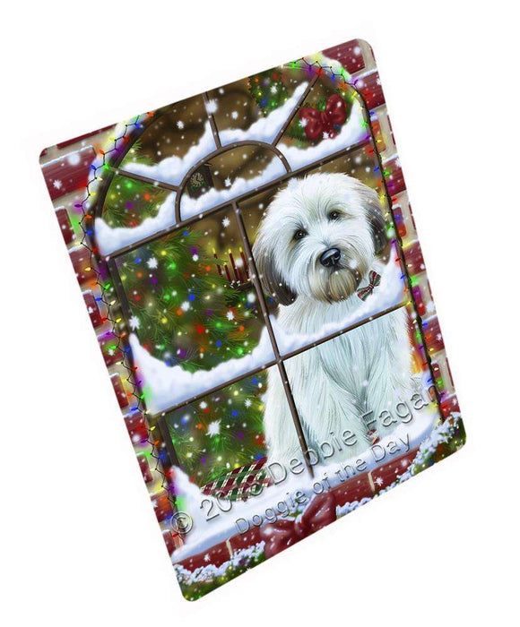 Please Come Home For Christmas Wheaten Terrier Dog Sitting In Window Blanket BLNKT100209