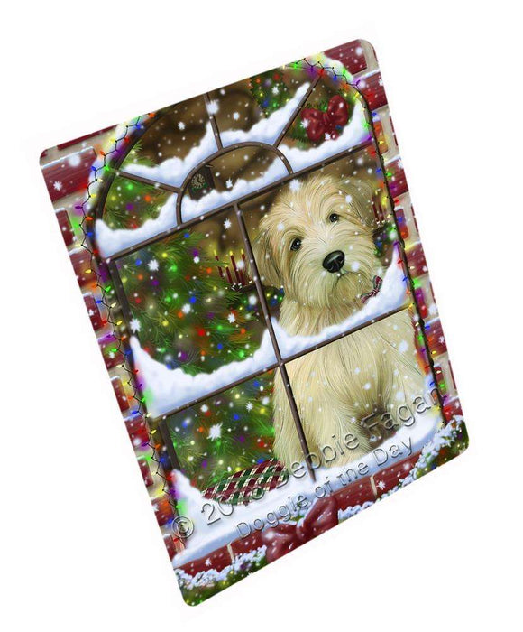 Please Come Home For Christmas Wheaten Terrier Dog Sitting In Window Blanket BLNKT100218