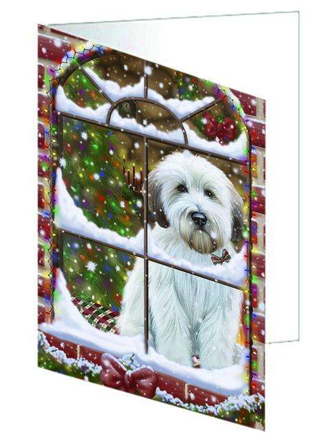 Please Come Home For Christmas Wheaten Terrier Dog Sitting In Window Handmade Artwork Assorted Pets Greeting Cards and Note Cards with Envelopes for All Occasions and Holiday Seasons GCD64985