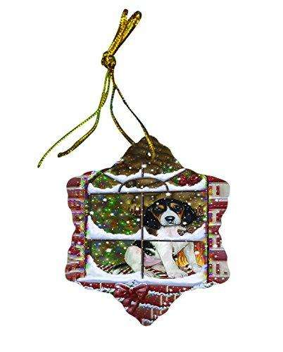Please Come Home Happy Holidays Treeing Walker Coonhound Dog Christmas Star Porcelain Ornament POR2692