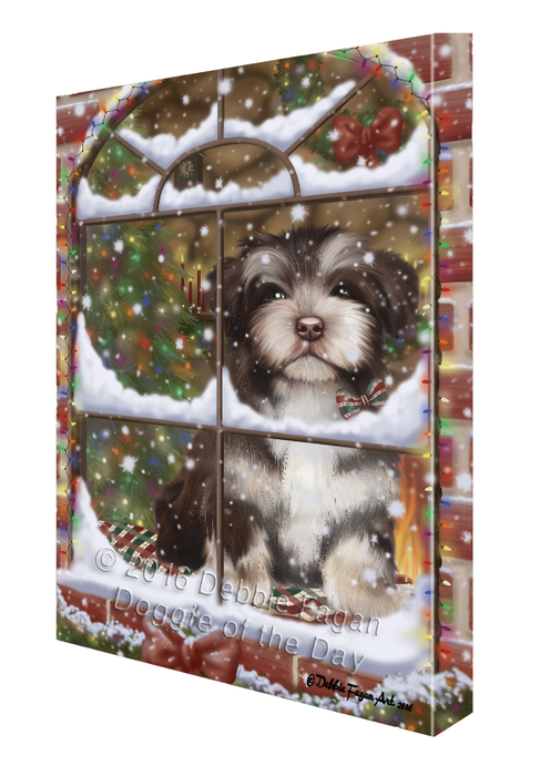 Please Come Home For Christmas Havanese Dog Sitting In Window Canvas Wall Art CVS54075