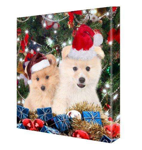 Pomeranian Dogs Christmas Canvas 18 x 24