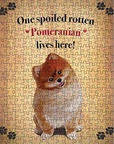 Pomeranian Spoiled Rotten Dog Puzzle with Photo Tin