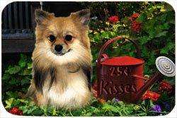 Pomeranian Tempered Cutting Board 25 Cent Kisses