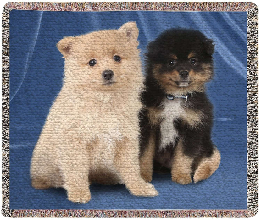 Pomeranian Woven Throw Blanket 54 x 38
