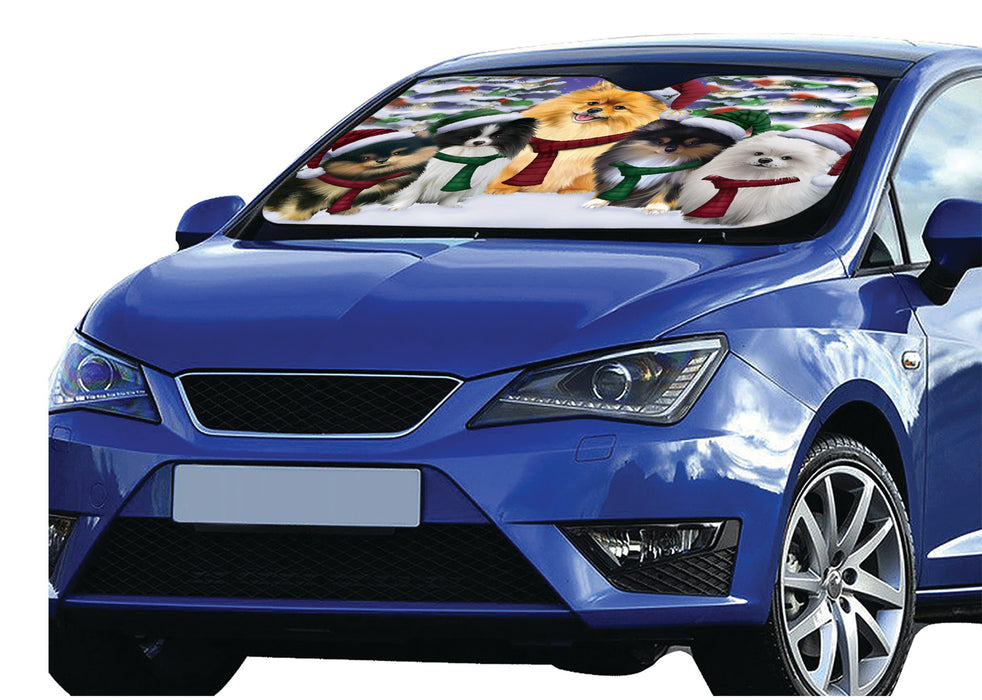 Pomeranian Dogs Christmas Family Portrait in Holiday Scenic Background Car Sun Shade