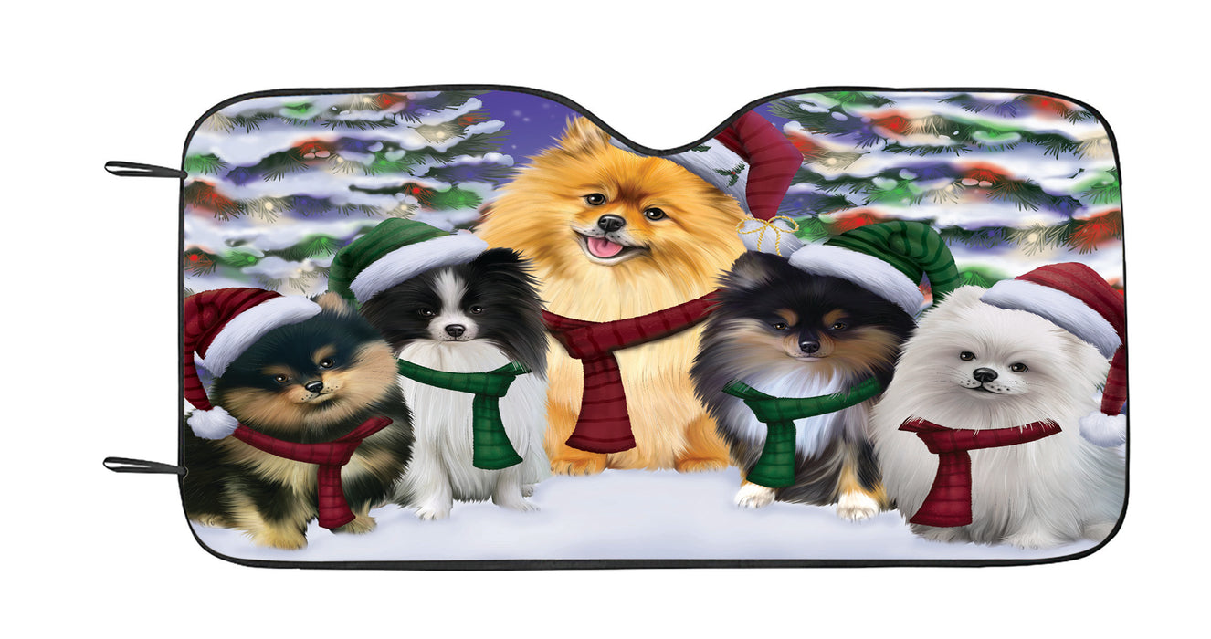 Pomeranian Dogs Christmas Family Portrait in Holiday Scenic Background Car Sun Shade