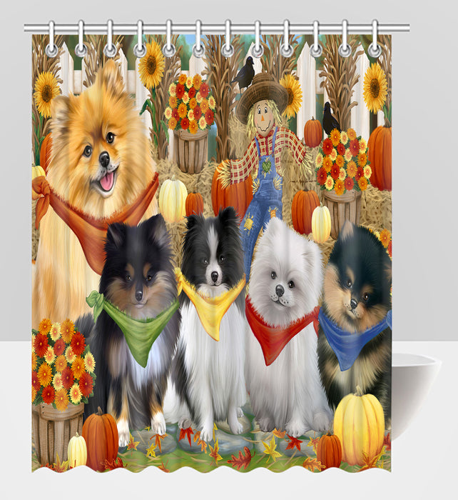 Fall Festive Harvest Time Gathering Pomeranian Dogs Shower Curtain