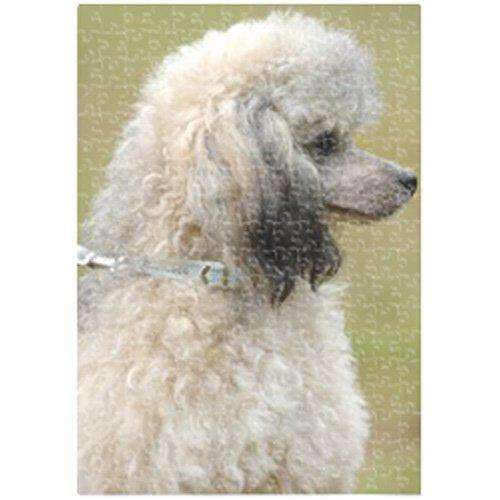 Poodle 300 Pc. Puzzle with Photo Tin