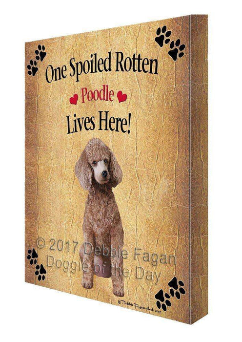 Poodle Apricot Spoiled Rotten Dog Canvas Wall Art D551