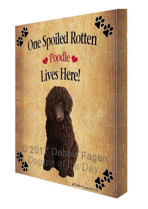 Poodle Brown Spoiled Rotten Dog Canvas Wall Art D553