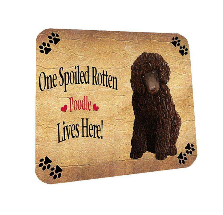 Poodle Brown Spoiled Rotten Dog Coasters Set of 4