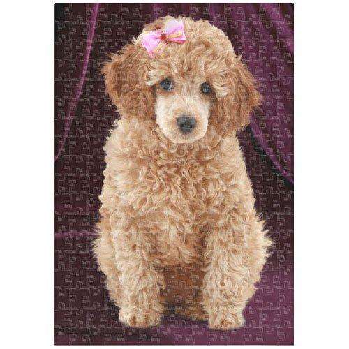 Poodle Dog 300 Pc. Puzzle with Photo Tin