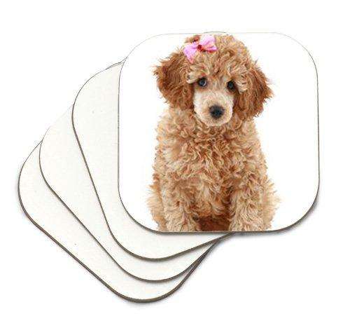 Poodle Dog Tan Coasters Set of 4