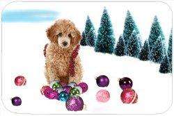 Poodle Tempered Large Cutting Board Christmas
