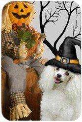 Poodle White Tempered Cutting Board Halloween