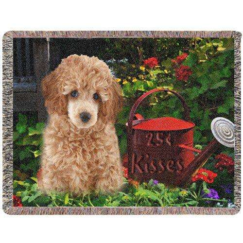 Poodle Woven Throw Blanket 54 x 38 .25 Cent Kisses