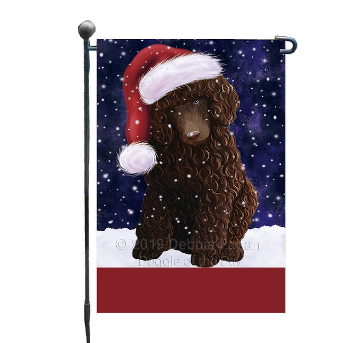 Personalized Let It Snow Happy Holidays Poodle Dog Custom Garden Flags GFLG-DOTD-A62406