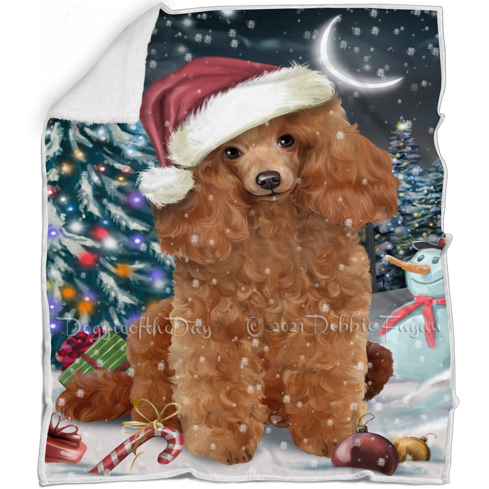Have a Holly Jolly Christmas Poodles Dog in Holiday Background Blanket D110