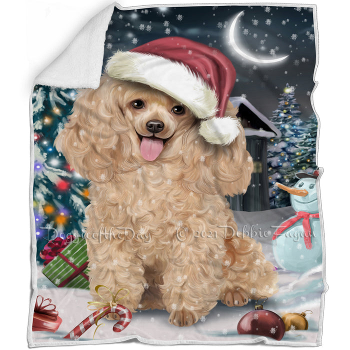Have a Holly Jolly Christmas Poodles Dog in Holiday Background Blanket D113