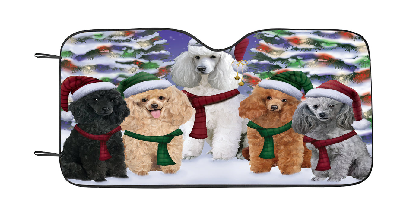 Poodle Dogs Christmas Family Portrait in Holiday Scenic Background Car Sun Shade
