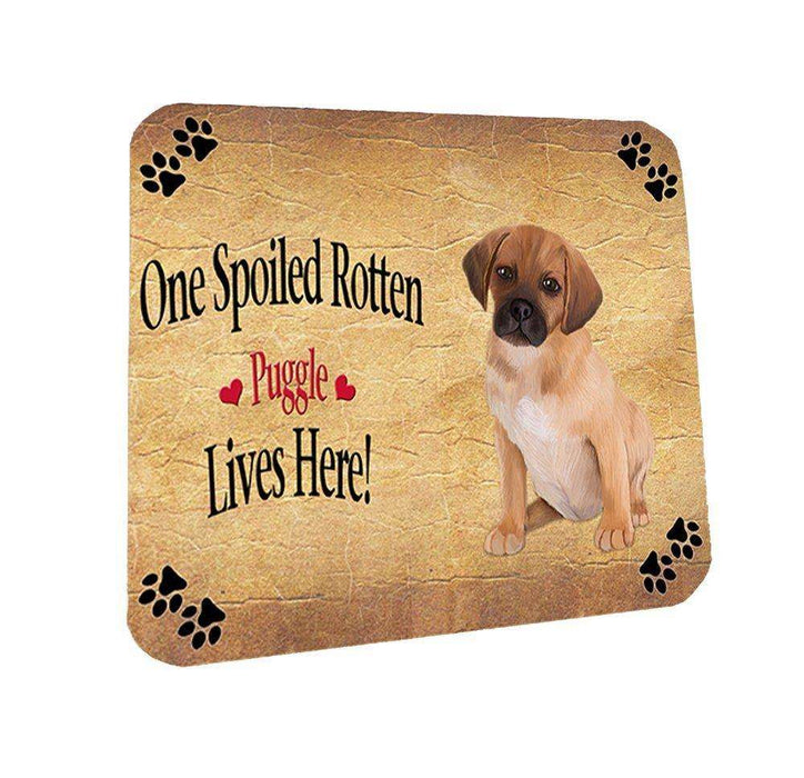 Puggle Puppy Spoiled Rotten Dog Coasters Set of 4