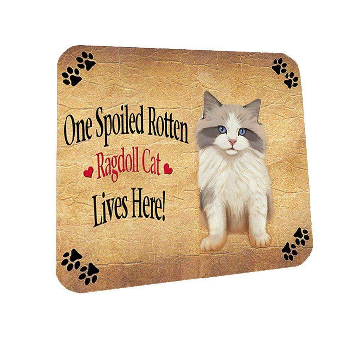Ragdoll Kitten Spoiled Rotten Cat Coasters Set of 4