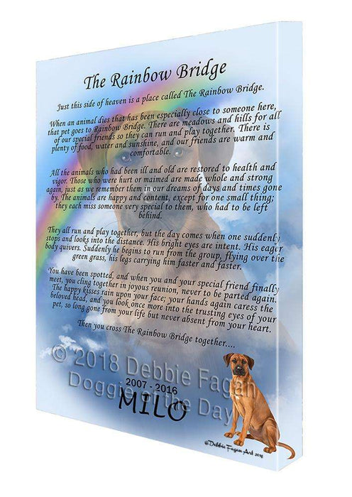 Rainbow Bridge Rhodesian Ridgeback Dog Canvas Print Wall Art Décor CVS74546