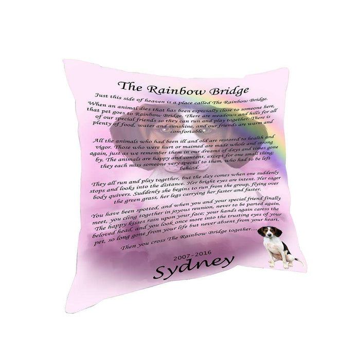 Rainbow Bridge Treeing Walker Coonhound Dog Pillow PIL67476