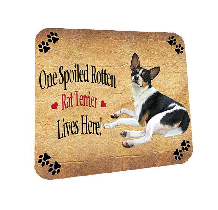 Rat Terrier Spoiled Rotten Dog Coasters Set of 4
